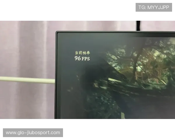 4070游戏本运行黑猴游戏帧数表现分析及优化建议